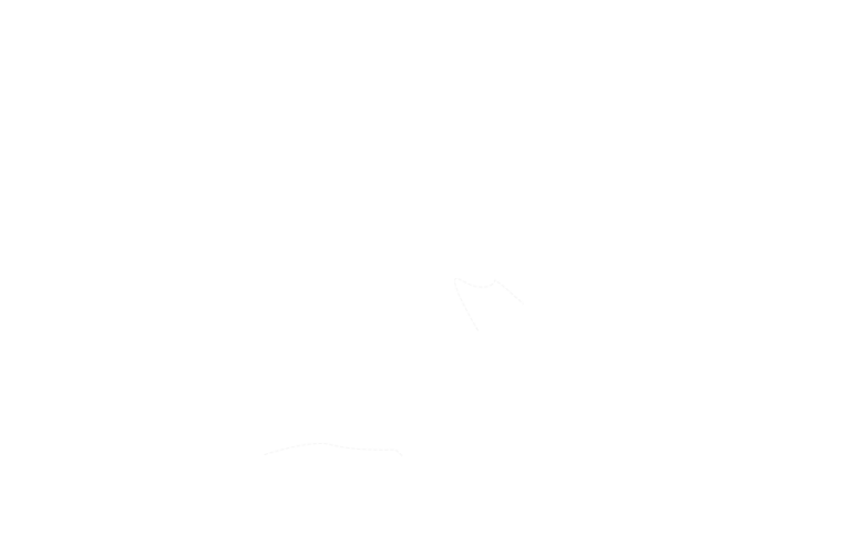 1223